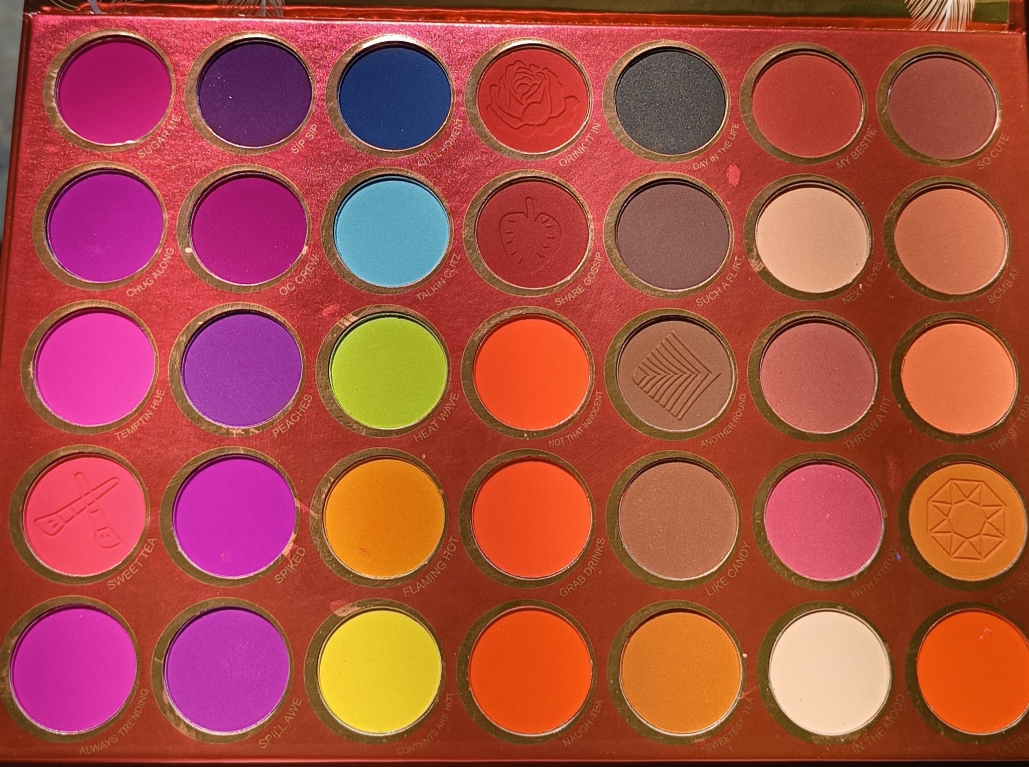 GEAIMEI BIRDS 35 color shadow palette