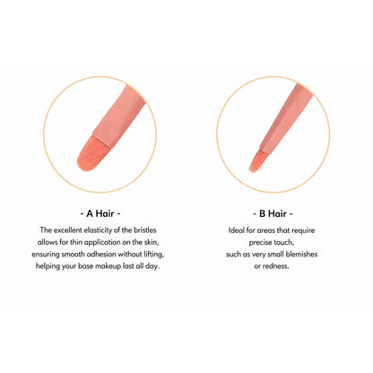 3CE Dual Concealer Makeup Brush C01 – Best Price Online in Pakistan