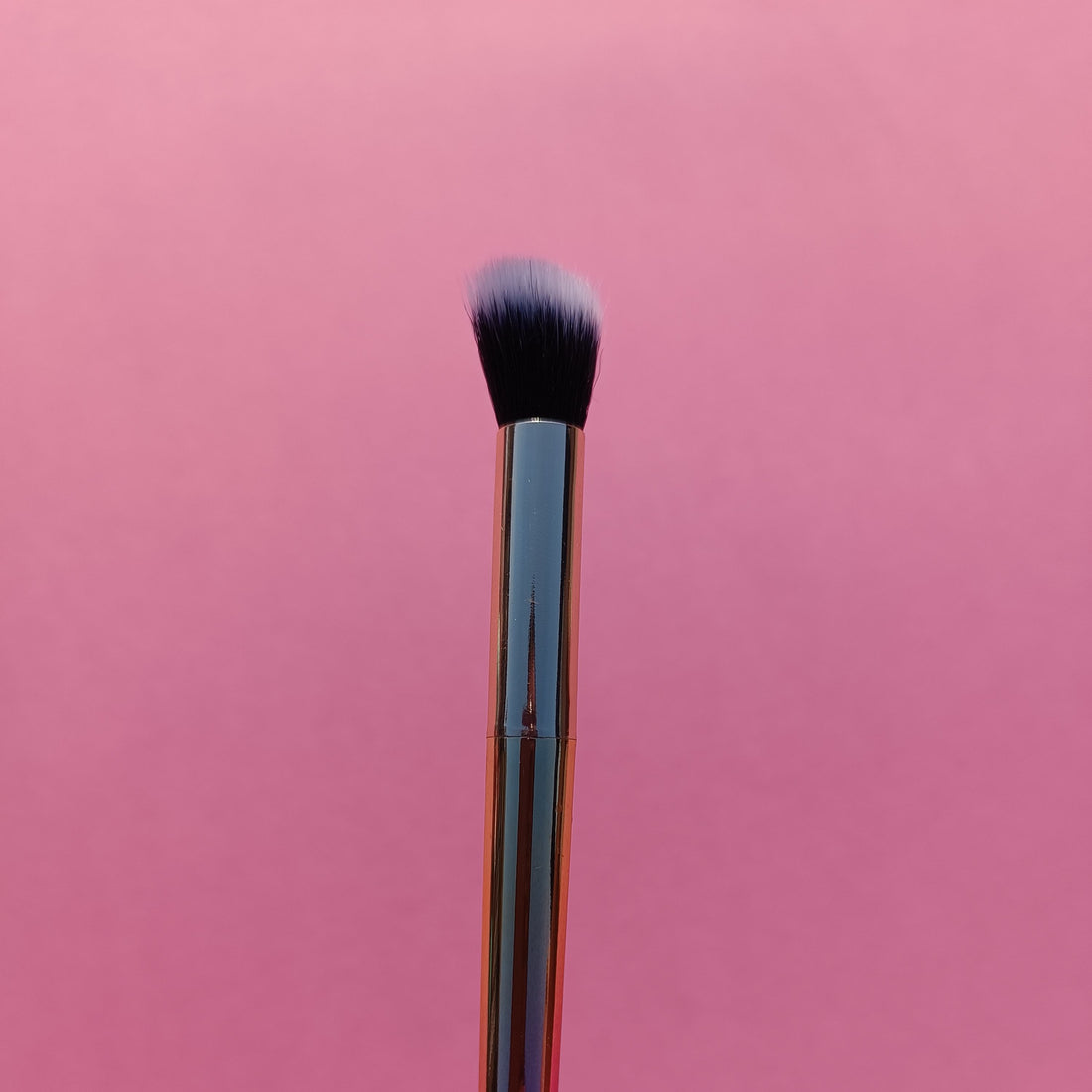 SIALIA Professional Dual sided Lipstick and Eyeshadow blending Makeup brush