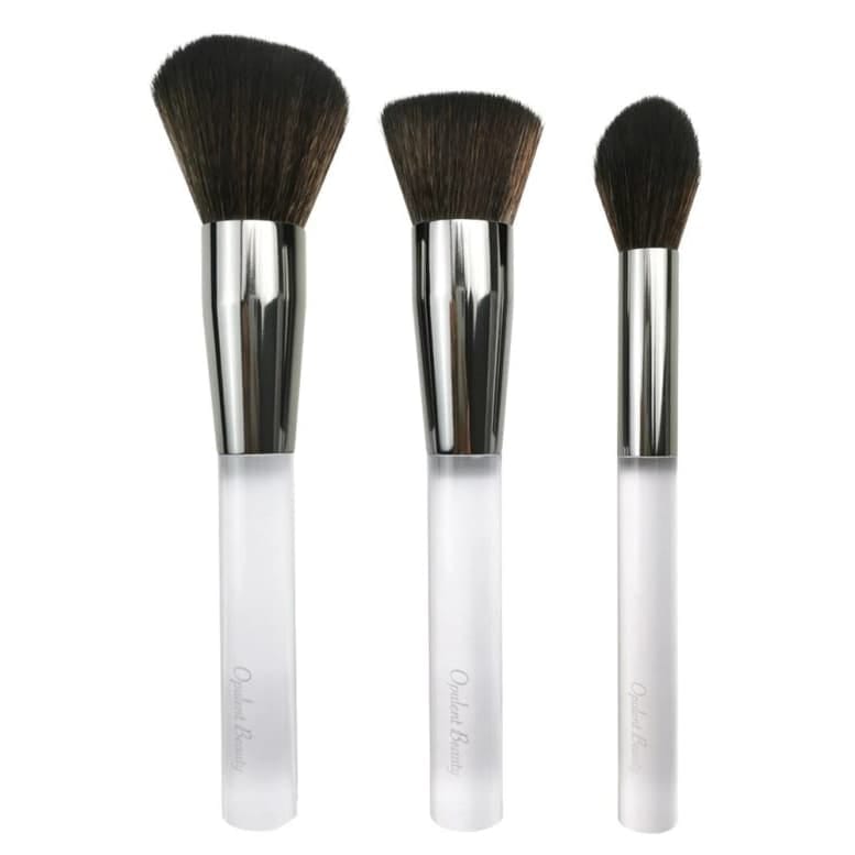 Opulent Beauty 3-Piece Professional Makeup Brush Set with Travel Pouch available at Lotshop.pk
