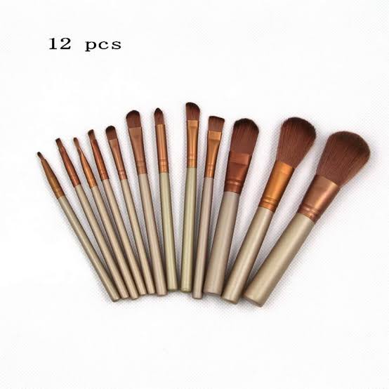 Naked3 Professional Makeup Brushes 12 Pieces With Metal Box(The box is a little deformed) but branded - Lotshop.pk