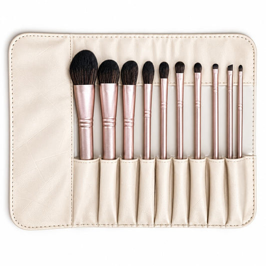 premium makeup brushes 10 piece with pouch price in pakistan