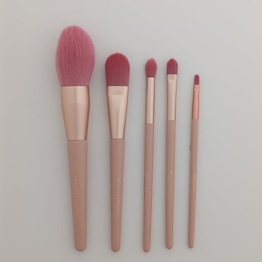 PrettyNine 5 Pcs Makeup Brushes Set – Best Price Online in Pakistan