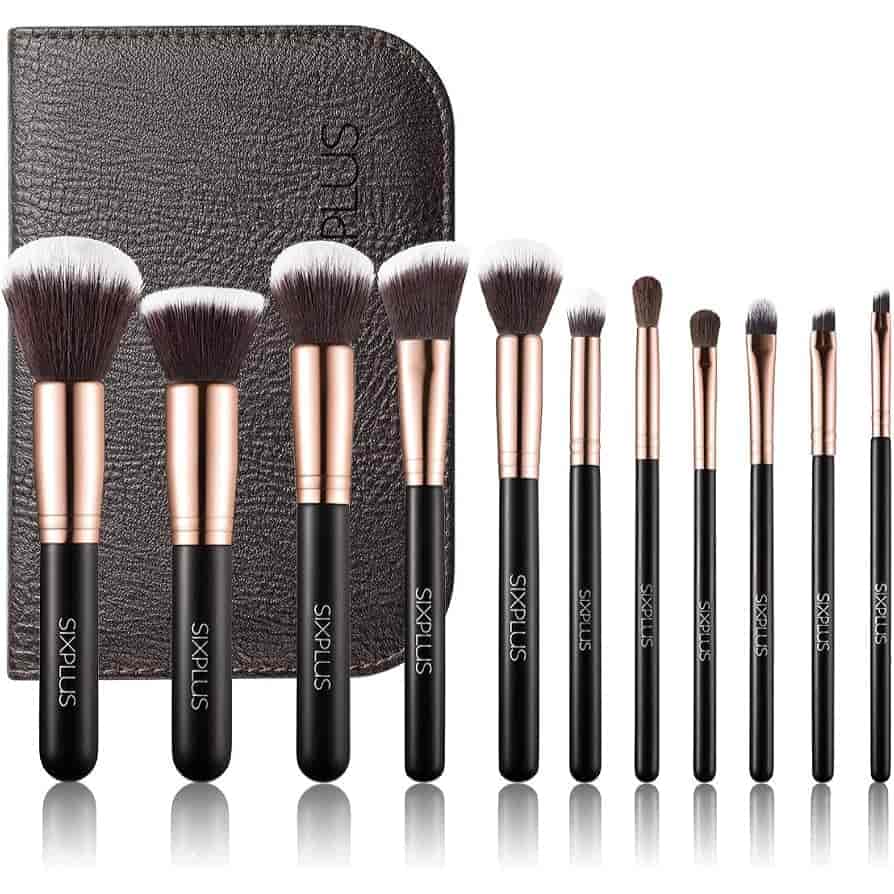 SIXPLUS 11-Piece Professional Makeup Brush Set with pouch for face and eye makeup price online in Pakistan