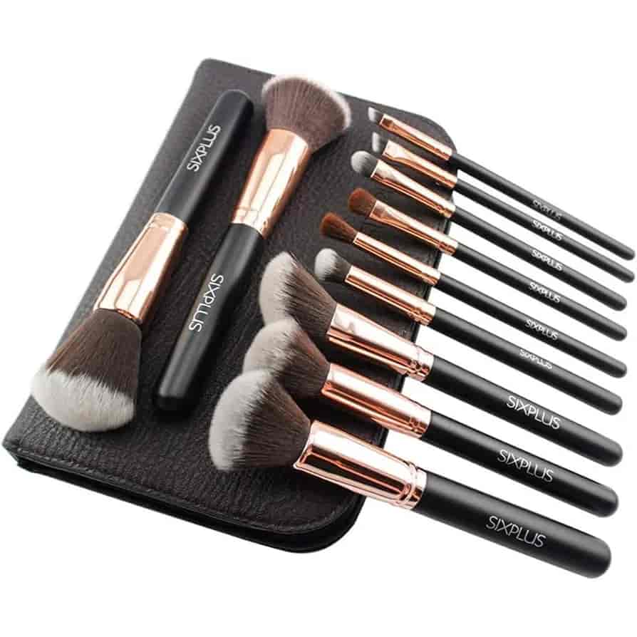 SIXPLUS professional 11-piece face and eye makeup brush set with pouch best price online in Pakistan